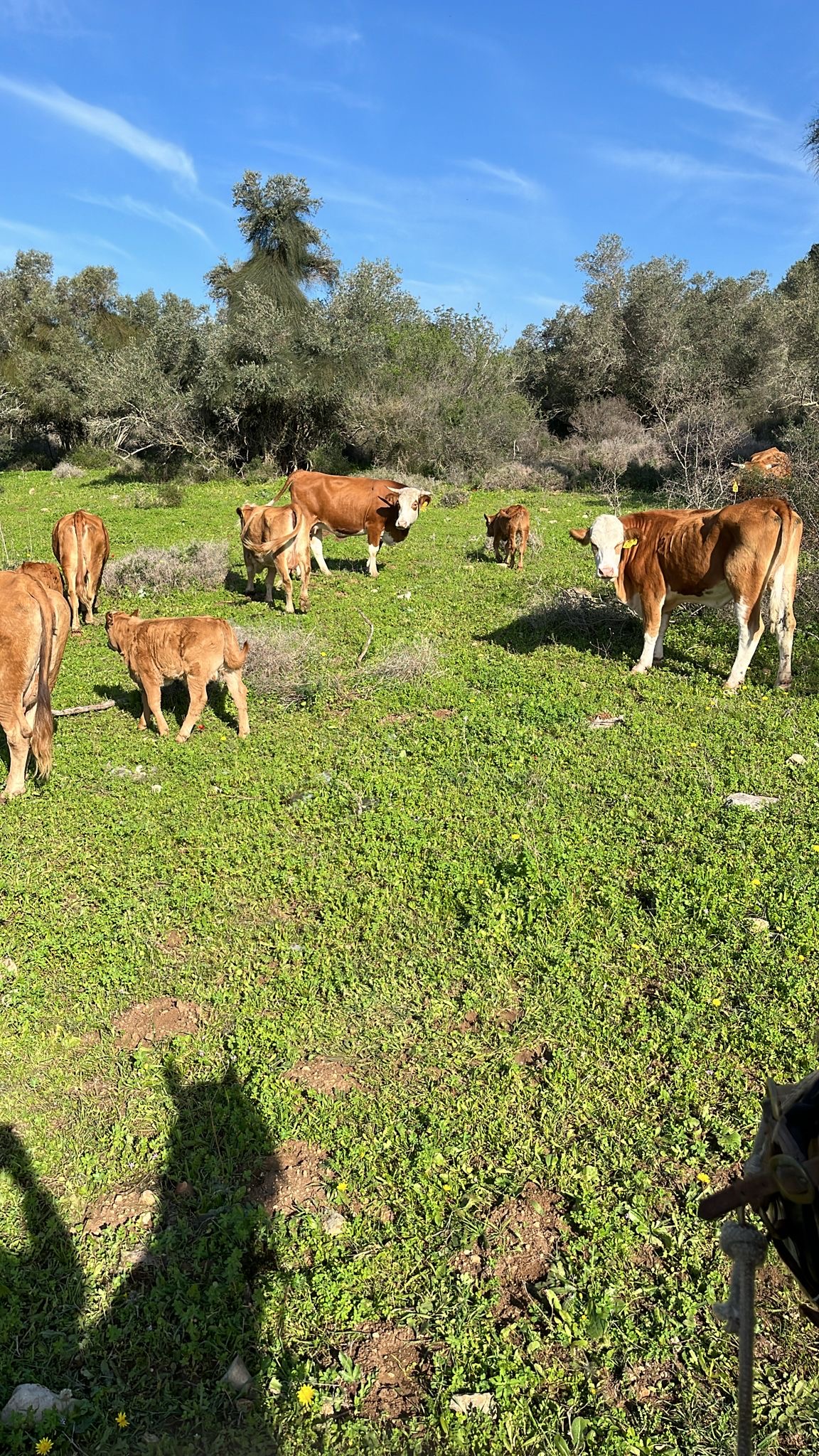 05d1f495-7b33-4e01-8e40-7168a147cc6e