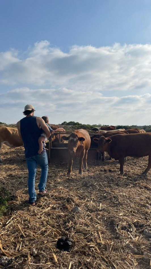 2661e501-053c-4a87-90c9-5ca2a3da27ea