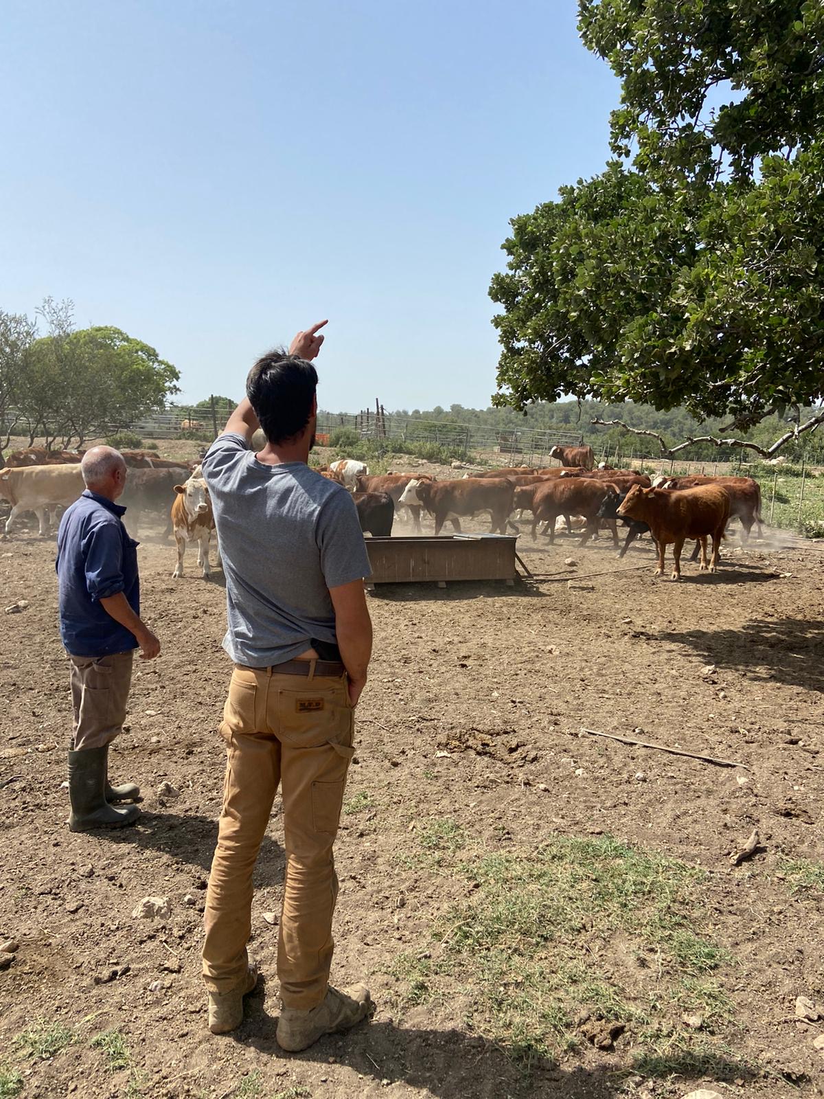 36c16b96-a7e0-4ca8-b5da-ef3fe036db85