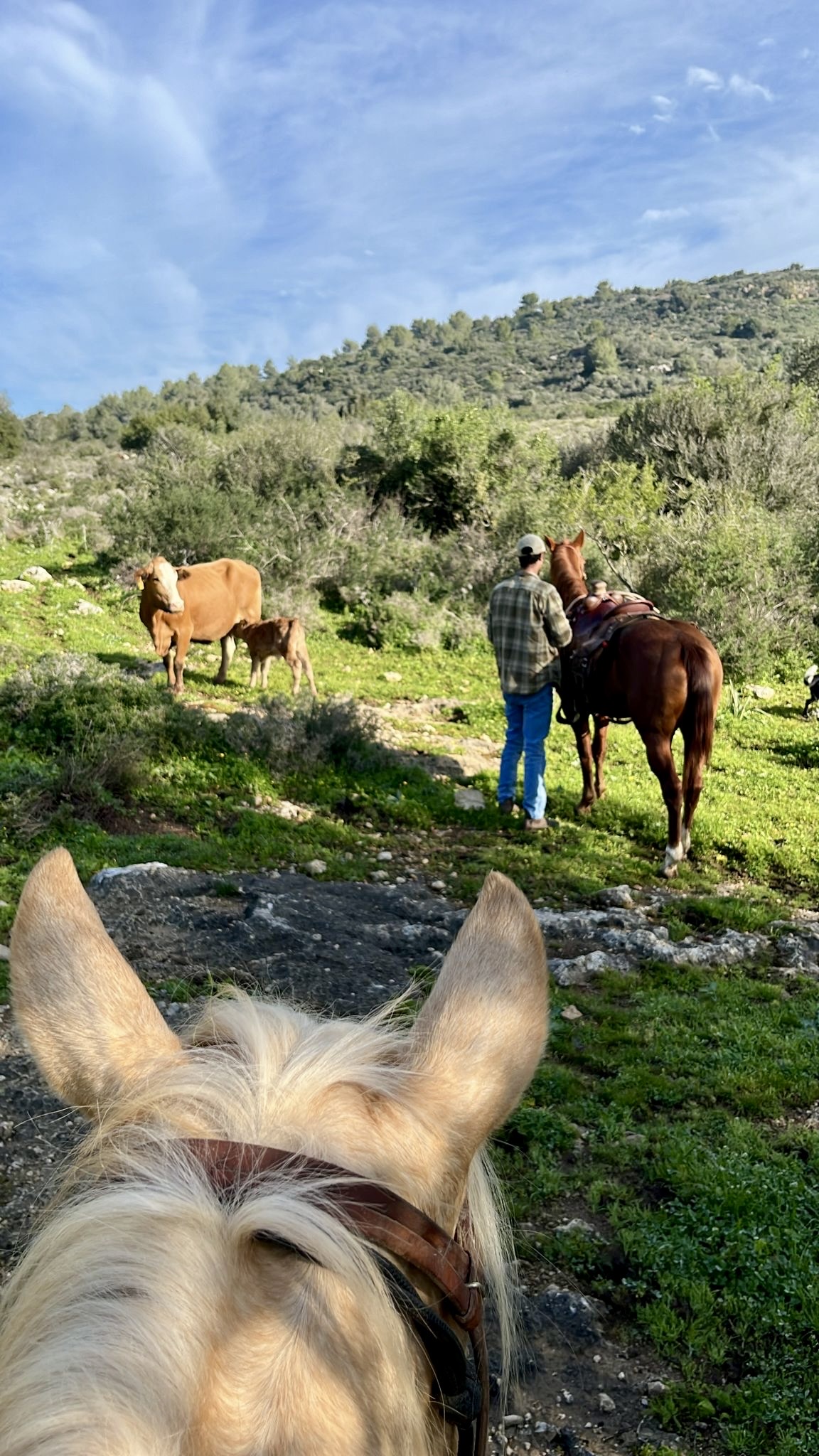 599a77bc-0a6c-4195-b93f-8596a71abf6c_Original