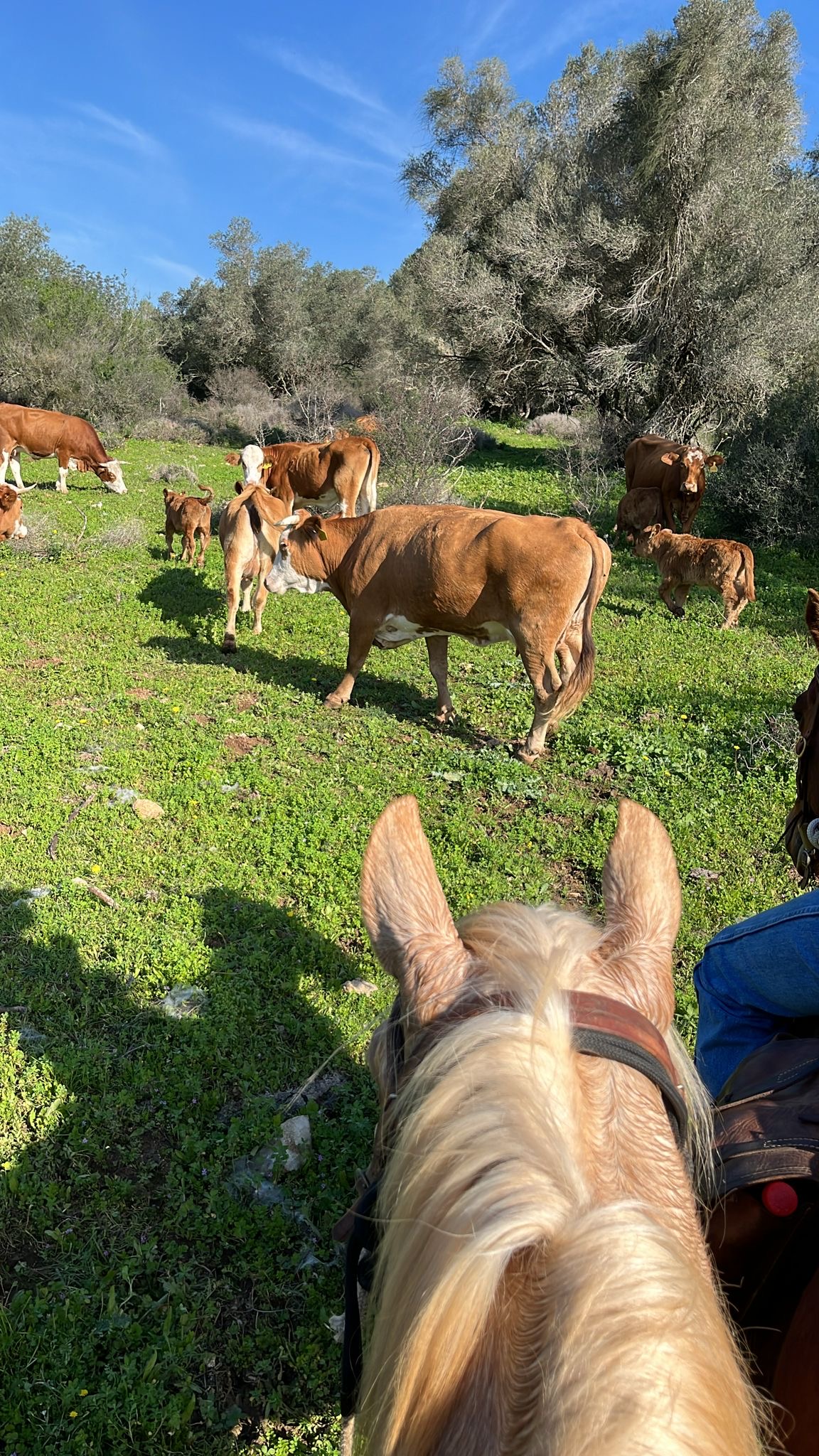 647f0851-5eaa-45d4-a097-cc12ef0cf0fb