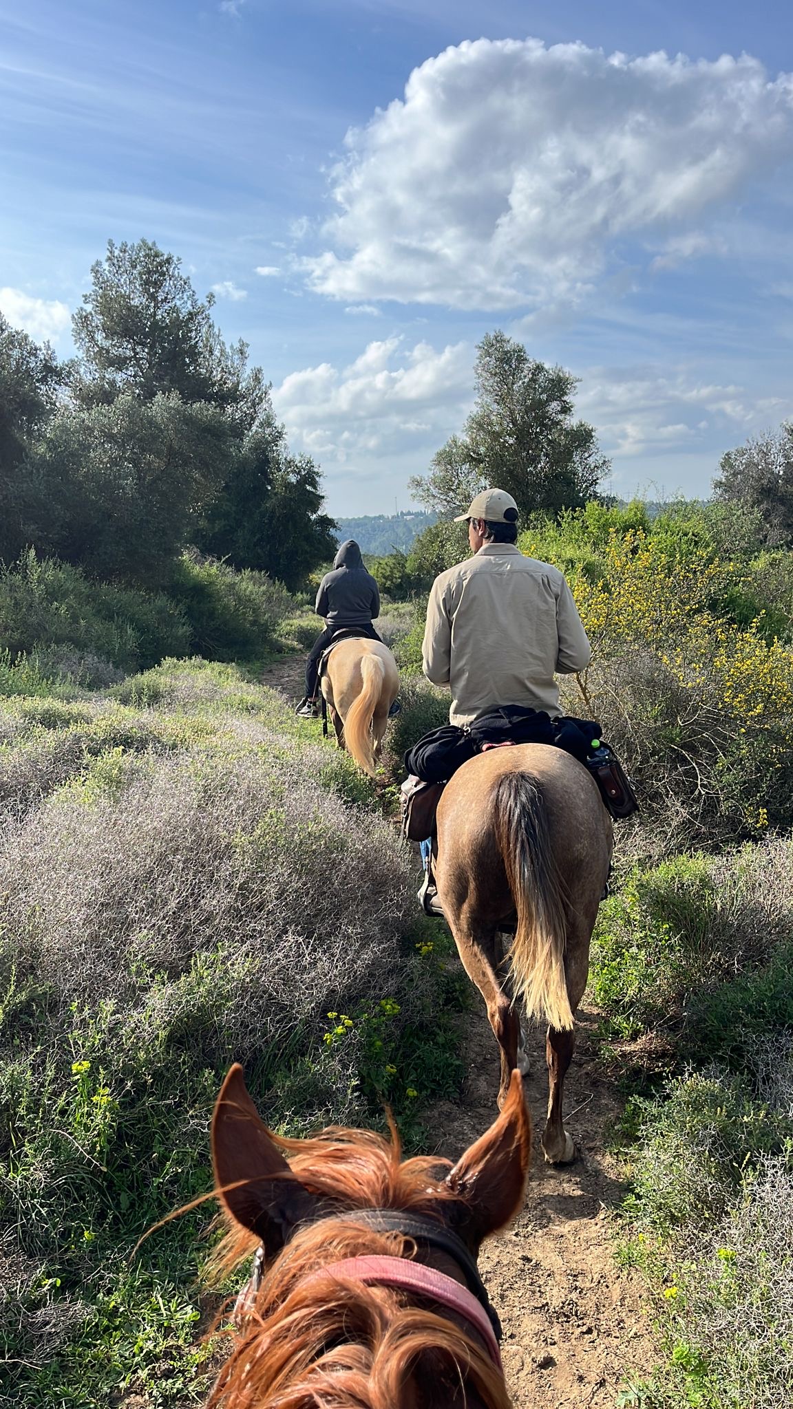 6d779a80-bc29-4fe5-813b-b793253d183e