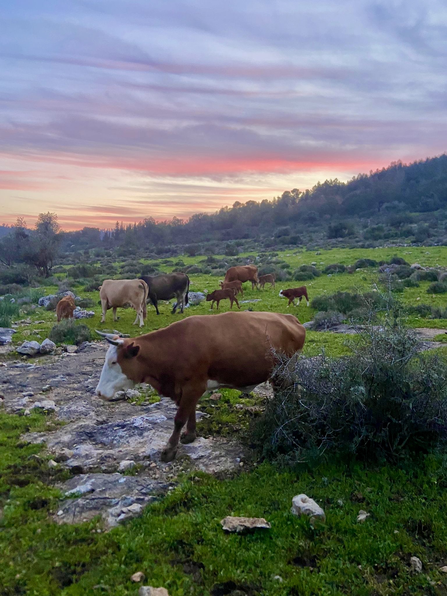 9bd078c6-63fa-4a07-a1a5-411afe707349_Original (2)