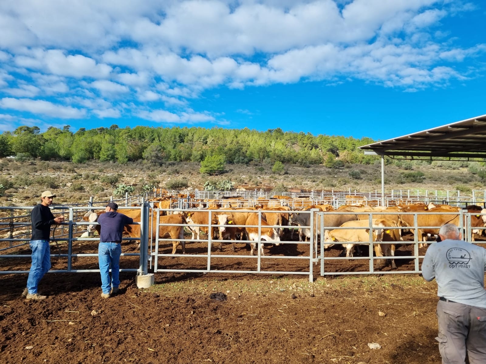 c23a4ed8-54bf-4d1b-8506-02f389255d8a